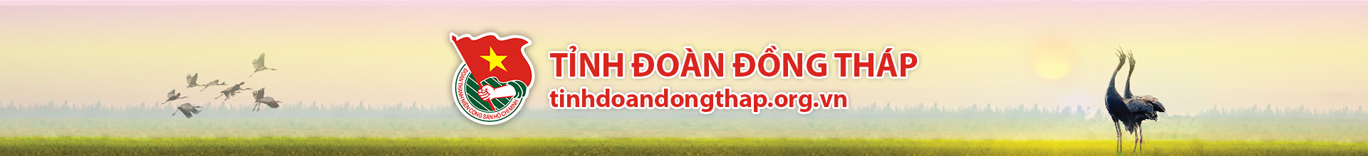 tinh doan