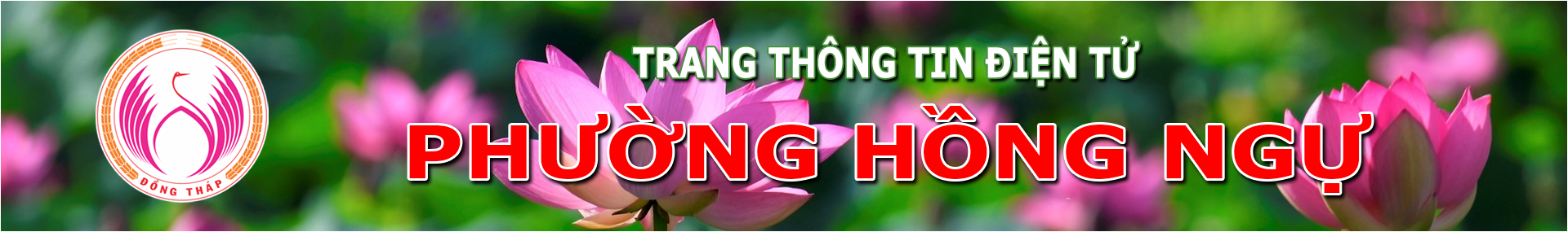 Cơ quan chủ quản UBND PHƯỜNG HỒNG NGỰ